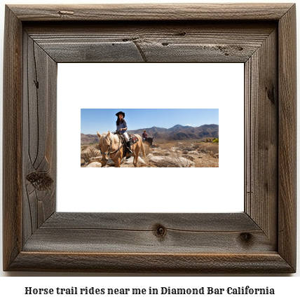 horse trail rides near me in Diamond Bar, California
